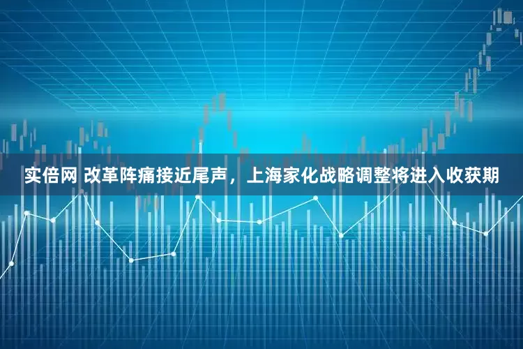 实倍网 改革阵痛接近尾声，上海家化战略调整将进入收获期