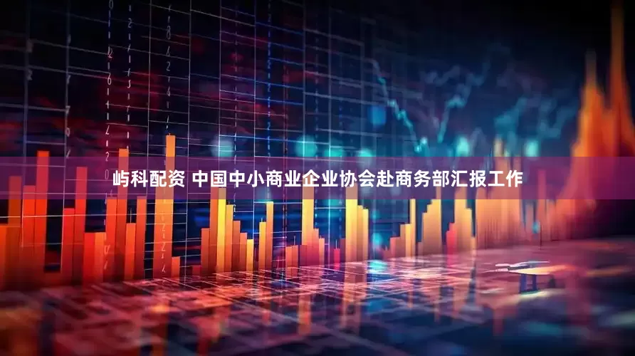 屿科配资 中国中小商业企业协会赴商务部汇报工作