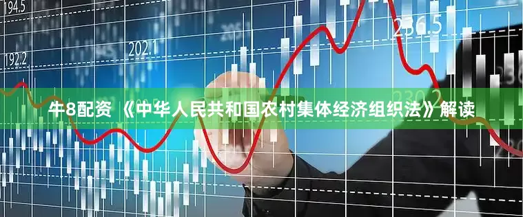 牛8配资 《中华人民共和国农村集体经济组织法》解读