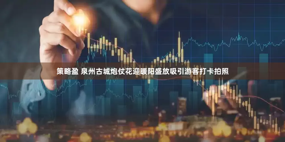 策略盈 泉州古城炮仗花迎暖阳盛放吸引游客打卡拍照