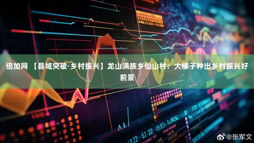 倍加网 【县域突破·乡村振兴】龙山满族乡仙山村：大榛子种出乡村振兴好前景